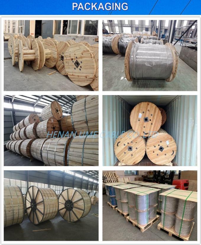 DIN 48206 IEC 61089 Aluminium Alloy Conductor Steel Reinforced – Aacsr 240/40 230/30 210/50mm2