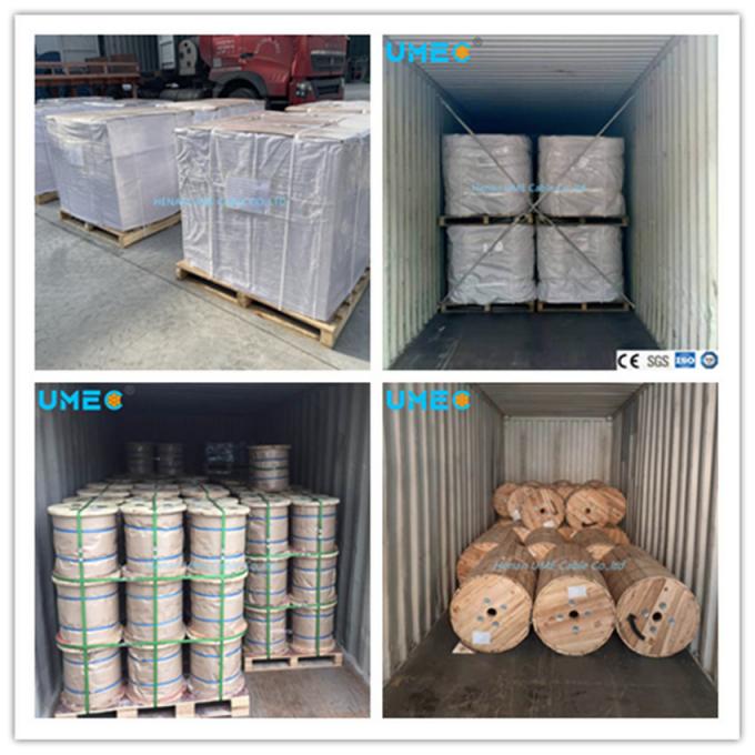 IEC 60227 Tw Thw Thw-2 4mm² 6mm² 10mm² Flame Retardant Communication Building Power Cable Wire
