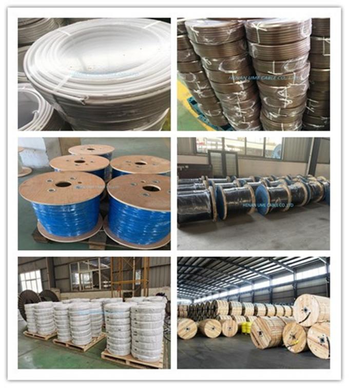 IEC 60227 Tw Thw Thw-2 4mm² 6mm² 10mm² Flame Retardant Communication Building Power Cable Wire