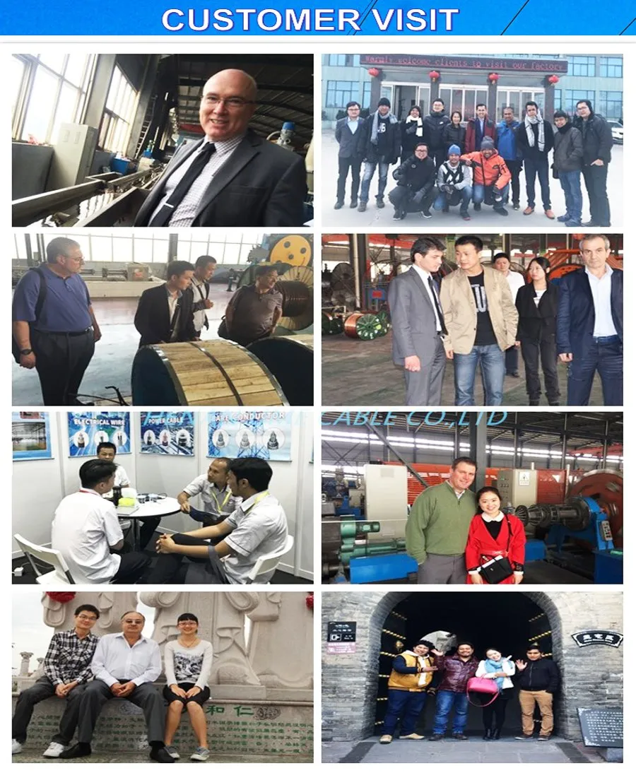 Primary and Secondary Distribution Cable Hare/Dog 100mmÃÂ² Aluminum Conductor Steel Reinforced